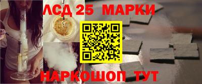 гидропоника Можга