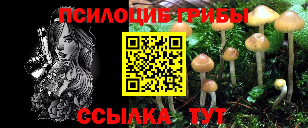 Узловая  Галлюциногенные грибы прущие грибы  Вход с VPN 